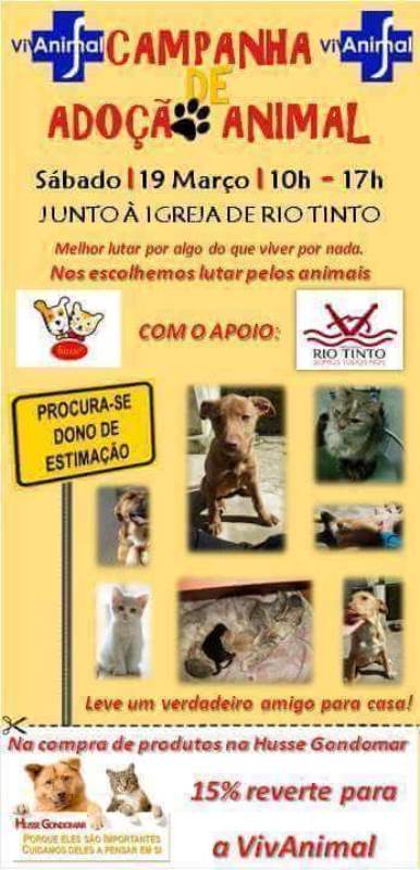 2016 03 19 CARTAZ Campanha de adoção animal