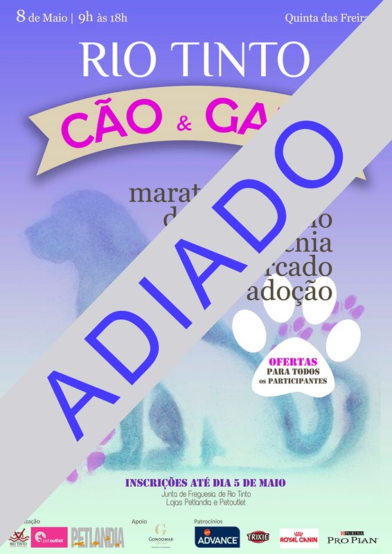 2016 05 06 RIO TINTO cão e gato ADIADO