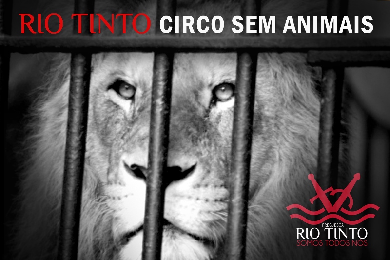 2016 12 06 Circo sem animais